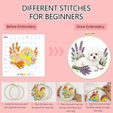 Zhenqing White Poodle Cross Stitch Kit with Lavender Bouquet, 11CT Printed 24x24cm, Beginner Embroidery Set with 20cm Hoop(70792)