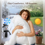 Oaken-Cat Goose Feather Down Fiber Comforter King Size - 100% Organic Cotton Shell All Season Duvet Insert, Medium Warmth Hotel Luxury Bedding Comforter(106x90 Inch, White) Oaken-Cat