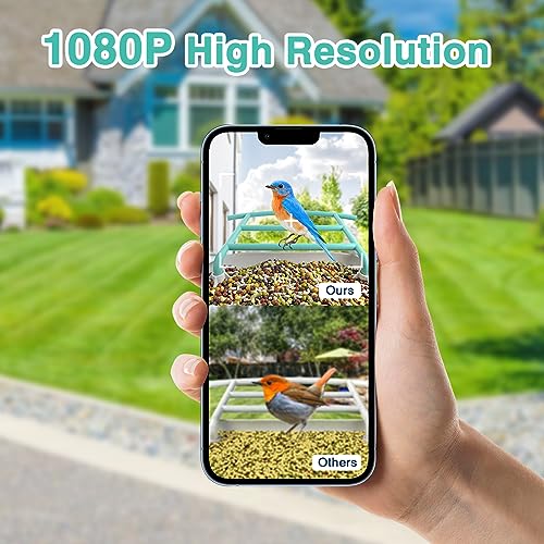 isYoung Smart Bird Feeder with Camera, Free AI Forever to Identify 11000+ Bird Species, Solar Panels Bird Video & Motion Detection Camera Auto Capture Notify (Dual Panel) - WoodArtSupply