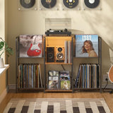 3IngSeagulls Record Player Stand with Power Outlets and LED Light, Turntable Stand Storage Up to 350+ Albums, Record Player Stand with Vinyl Storage, Tuntable Stand with Record Holder for Living Room 3IngSeagulls