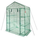 VEVOR Walk-in Green House, 55.5 x 29.3 x 80.7 inch, Portable Greenhouse with Shelves, High Strength PE Cover with Roll-up Zipper Door and Steel Frame, Set Up in Minutes, for Planting and Storage VEVOR