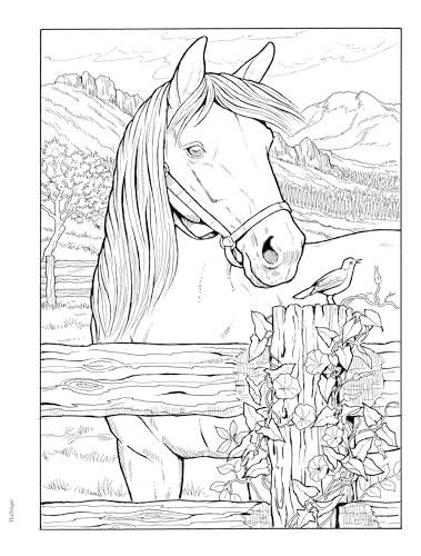 Adult Coloring Great Horses Coloring Book (Adult Coloring Books: Animals) Dover Publications