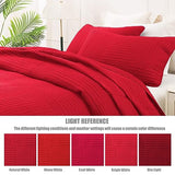 Whale Flotilla Ultra Soft Queen Quilt Bedding Set, Lightweight Microfiber Red Quilts Bedspreads Full Size, 3 Piece Ultrasonic Geometric Coverlet Bed Cover for All Seasons Whale Flotilla