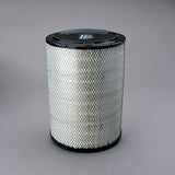 Donaldson P533930 Air Filter, Primary Donaldson