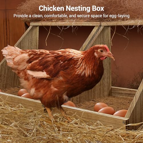 Chewoof 3 Pack Nesting Boxes for Chickens, Wood Chicken Coop Nesting Box, Duck Nesting Box Chicken Nesting Boxes for Laying Eggs, Chicken Box, Chicken Coop Accessories Nesting Box - WoodArtSupply