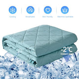 EVOLIVE Elastane Diamind Quilted All Season Light Weight Single Reversible Cooling Quilt/Comforter (Blue, Full/Queen) EVOLIVE