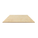 Walnut Hollow 1/4" x 12" x 12" Birch Plywood, (4 Pack), Natural Craft Wood Walnut Hollow