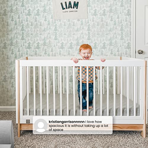 GAP babyGap Tate 4-in-1 Convertible Crib - Greenguard Gold Certified, Ebony/Natural - WoodArtSupply