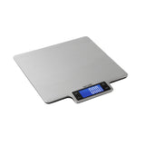 Taylor 22lb Ultra-Precise Digital Stainless Steel Household Kitchen Scale, One, Silver Taylor