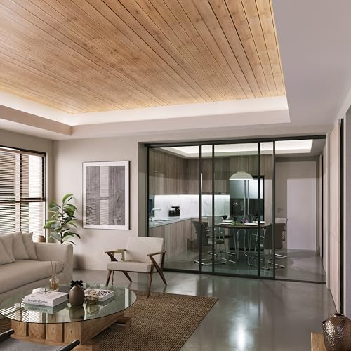 Doors 55 Glass Room Divider Panel and Partition - Perfect Partition Wall Divider & Sound Proof Dividers (Clear Glass, 120x96) Doors55