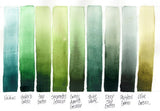 Daniel Smith Extra Fine Watercolor 15ml Paint Tube, Sap Green (284600102), 0.5 Fl Oz (Pack of 1) DANIEL SMITH
