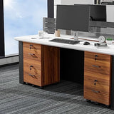 VINGLI 2-Drawer Rolling File Cabinet with Lock, Wood Mobile Filing Cabinet for Hanging Letter Size Filings Under Desk File Cabinet for Home Office, VINGLI