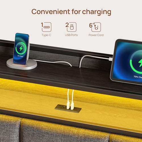 Rolanstar Bed Frame Queen Size with Charging Station and LED Lights, Upholstered Storage Headboard with Drawers, Heavy Duty Metal Slats, No Box Spring Needed, Noise Free, Easy Assembly, Dark Grey Rolanstar