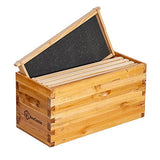 BeeCastle 5 Frame Bee Hive Nuc Box Coated with 100% Beeswax Includes Beehive Frames and Waxed Foundations BeeCastle