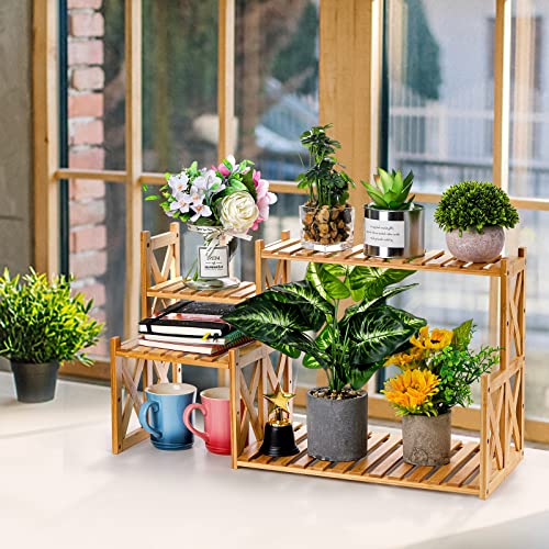 Lawei 2 Tier Bamboo Tabletop Plant Stand, Adjustable Flower Pot Holder Shelf Planter Display Stand, Small Desktop Ladder Plant Rack for Indoor Outdoor Home Patio Lawn Garden Balcony Organizer Lawei