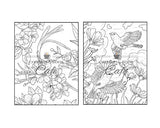 Songbirds Coloring Book: An Adult Coloring Book Featuring Beautiful Songbirds, Exquisite Flowers and Relaxing Nature Scenes Majosta