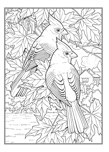 Creative Haven Glorious Songbirds Coloring Book (Adult Coloring Books: Animals) WoodArtSupply