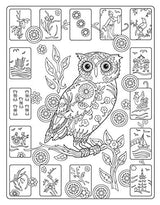 Creative Haven Owls Coloring Book (Adult Coloring Books: Animals) Dover Publications