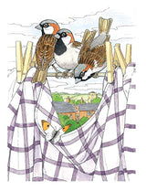 Creative Haven Glorious Songbirds Coloring Book (Adult Coloring Books: Animals) WoodArtSupply