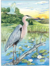 Adult Coloring Beautiful Birds Coloring Book (Adult Coloring Books: Animals) Dover Publications