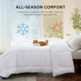 Bedsure Comforter Duvet Insert - Quilted Comforters King Size, All Season Duvet, GentleSoft Down Alternative Bedding Blanket, with 8 Tabs, Gifts for Women/Men, White, King 90 x 102 Inches Bedsure