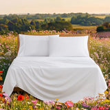 UGG Hedi Queen Sheet Set 4-Piece Luxury Cooling Sheets Deep Pockets Premium Bedding with 2 Pillow Shams Hypoallergenic Machine Washable Soft Lightweight Bed Set for Bedroom, Queen, White