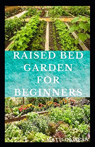 RAISED BED GARDEN FOR BEGINNERS: Step by steps guides on how to start Raised bed garden for starters Independently Published