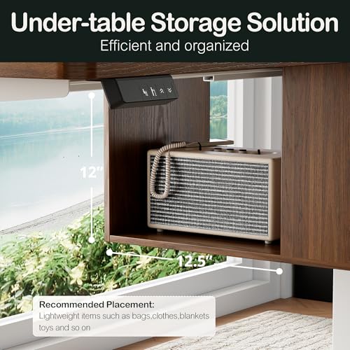 ModernMate Electric Standing Desk with 4 Drawers, 47.2 x 23.6 Inch Height Adjustable Whole Piece Sit Stand Desk, Computer Home Office Workstation with Open Storage Shelf, Black Walnut ModernMate