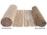 FOREVER BAMBOO Jumbo Reed Bamboo Screen Fencing Privacy Fence Backyard Divider Decorative Reed Garden Fencing, Natural 6 ft H x 16 ft L FOREVER BAMBOO