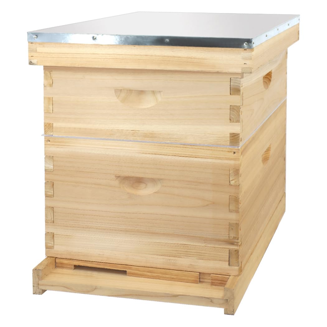 BEEINN 8 Frame Bee Hive, Compelte Bee Hive Starter Kit Includes 1 Deep Brood Honey Bee Hives Box, 1 Medium Super Bee Box with Beehive Frames and Foundation Sheets - WoodArtSupply