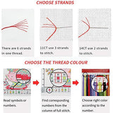 Dimxvean Stamped Cross Stitch Kits,Cross Stitch Kits for Adults Beginners,Embroidery Kits Full Range of Cross Stitch Stamped Kits Needlepoint Kits Cross Stitch Patterns-Sunrise Cactus 16x20 inch