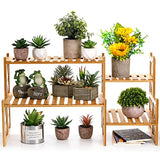 Lawei 2 Tier Bamboo Tabletop Plant Stand, Adjustable Flower Pot Holder Shelf Planter Display Stand, Small Desktop Ladder Plant Rack for Indoor Outdoor Home Patio Lawn Garden Balcony Organizer Lawei