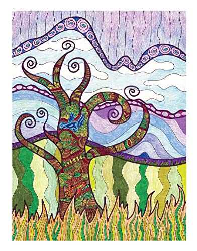 Creative Haven Into the Woods: A Coloring Book with a Hidden Picture Twist (Adult Coloring Books: Nature) Dover Publications
