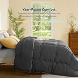 BEDLORE Queen Comforter Duvet Insert - All Season Down Alternative Quilted Bedding, Ultra Soft Lightweight with 4 Corner Tabs, Machine Washable Queen Size Bed Comforter, Grey 88 x 88 Inches BEDLORE