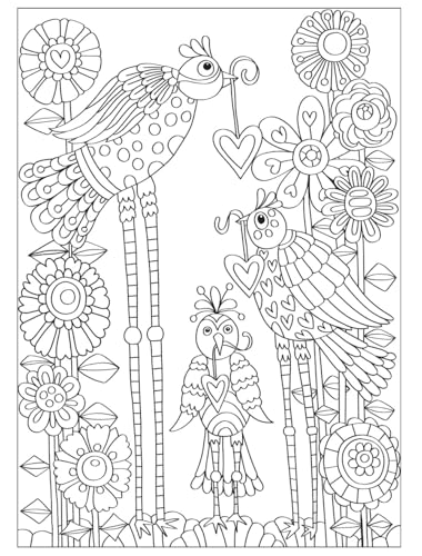 Creative Haven Fanciful Birds Coloring Book (Adult Coloring Books: Animals) Dover Publications