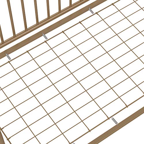 Little Seeds Ivy 3-in-1 Convertible Metal Crib, JMPA Certified, Gold Little Seeds