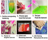 DIY 5D Diamond Painting Kit Skyscrapers Downtown Pittsburgh Pennsylvania USA Skyline City Pa 14" X 20" Adult Full Drill Rhinestone Cross Stitch Art Crafts for Home Decoration Suklly