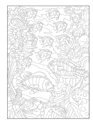 Creative Haven Sea Life Color by Number Coloring Book (Adult Coloring Books: Sea Life) Dover Publications