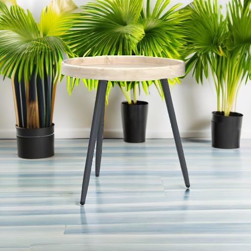 LITA Log Desktop Round Side End Table, Indoor Outdoor Wooden Tray Nightstand Table with Metal Stand for Living Room Bedroom Office Small Spaces (M) LITA