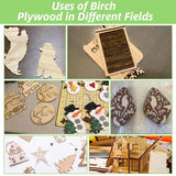 12Pcs 16 x 12 x 1/16 Inch Baltic Birch Plywood Sheets Unfinished Plywood Sheet for Arts and Crafts, Painting, Pyrography, Wood Engraving, Wood Burning, Laser, Architectural Models ACXFOND