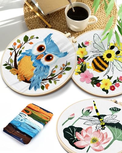 TINDTOP Embroidery Kit for Beginners Adult, Dragonfly Embroidery Kit for Beginners Include Embroidery Cloth Hoops Threads for Craft Lover Hand Stitch with Embroidery Skill Techniques (Dragonfly) TINDTOP
