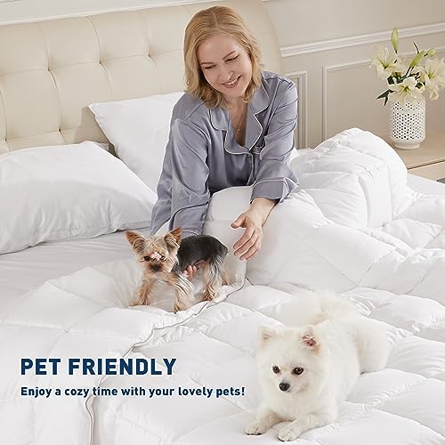 sunflower Extra Deep Pocket Queen Sheet Sets Fits 18"-24" in Deep Mattress -100% Cotton Queen Sheet Set, White Hotel Luxury Soft Breathable Sheet Sets for Queen Bed Deep Pocket sunflower