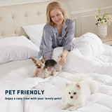 sunflower Extra Deep Pocket Twin Sheet Sets Fits 18"-24" in Deep Mattress -100% Cotton Twin Sheet Set, White Hotel Luxury Soft Breathable Sheet Sets for Twin Bed Deep Pocket sunflower