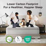 Novilla 12 Inch Full Size Mattress in a Box, Hypoallergenic & Back Pain Relief, Hybrid Full Mattresses with Smarts Coils, Fiberglass Free CertiPUR-US Certified Colchones No Box Spring Needed Novilla
