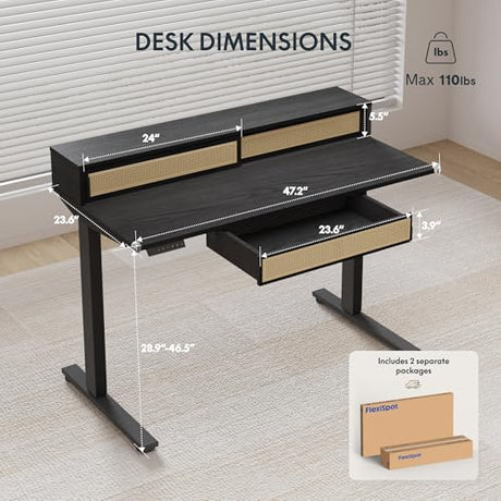 FLEXISPOT Q4 One-Piece Standing Desk with Rattan Drawers, 48 x 24 Inch Adjustable Height, Electric Stand Up Table with Monitor Shelf, Home Office Ergonomic Computer Desk with Memory Presets, Black FLEXISPOT