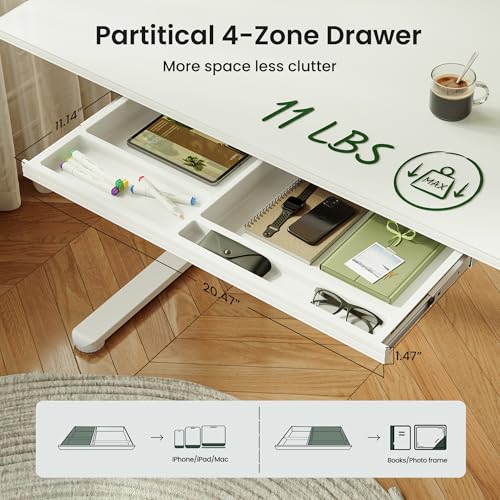 FEZIBO 48x24 inchs Electric Standing Desk - One-Piece Glass Top, Height Adjustable Workstation with 4 Memory Presets, Ergonomic Sit-to-Stand Table for Home Office & Gaming FEZIBO