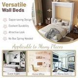 MoproBeti Wood Murphy Bed Queen Size, Space-Saving Hidden Foldable Wall Bed with Storage Shelf and Gas Struts for Bedroom,Guest Room,Home Office, Gym,No Box Spring Needed, White MoproBeti