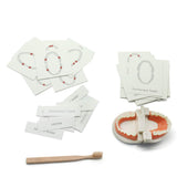 MEROCO Montessori Practical Life Brushing Teeth Model and Cards Montessori Homeschool Learning Preschool Toys for Toddlers MEROCO