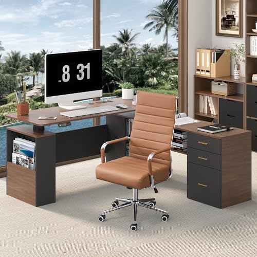 JOMEED 63" L Shaped Electric Standing Desk with Storage, Executive Adjustable Height with Power Outlets and Privacy Panel,Brown and Black JOMEED