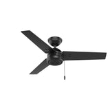 HUNTER 50260 Cassius Outdoor Ceiling Fan with Pull Chain, 44", Matte Black Finish Hunter